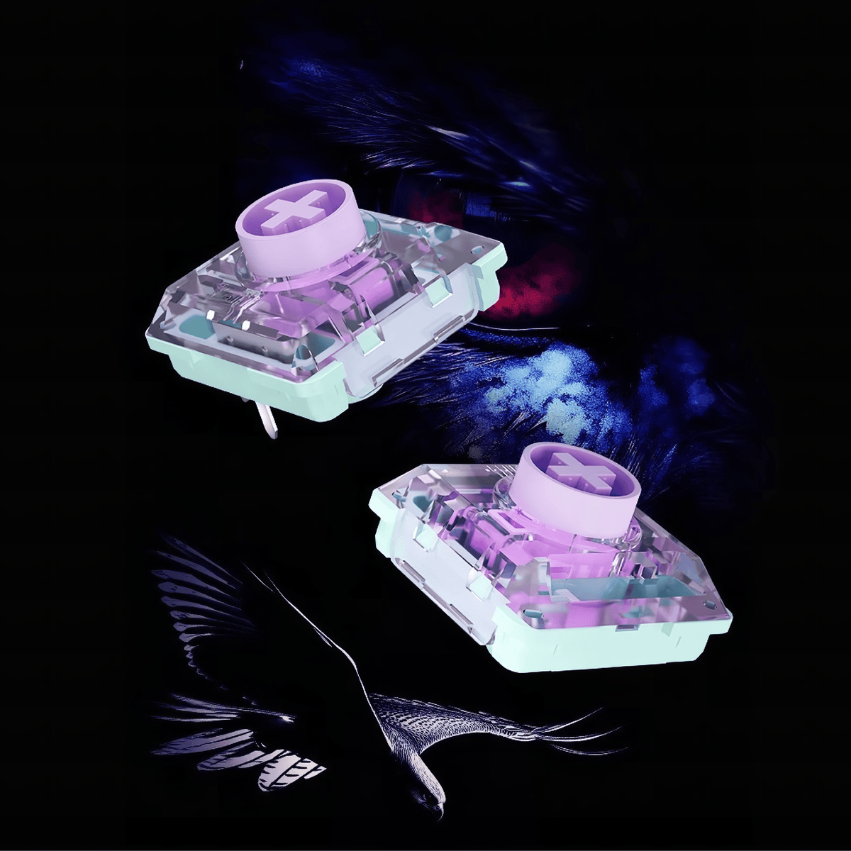 011402.png?v=1751098770&width=1920